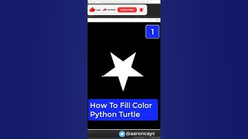 Turtle Fill Color - How To Fill Color - Python Turtle #shorts #coding #programming