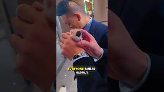 This Tiny Kitten Stole the Office’s Heart!