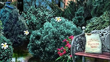 Mystery Case Files:13th Skull Collector