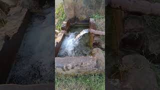 VID 20241215 162056