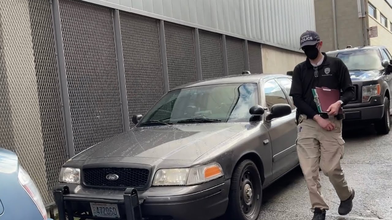 Bark No Bite DO YOU WANT ME TO CALL THE POLICE I WILL BUST YOUR HEAD