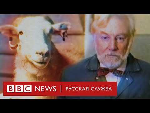 Видео: В клетките ли се подлагат на клонова селекция?