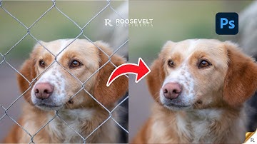 How to easily remove fence in Photoshop