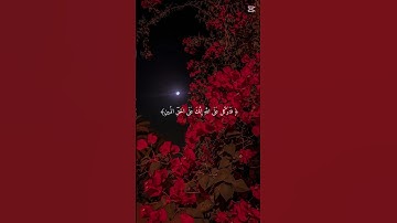 قران كريم ✨ #قرآن #اكسبلور #المصحف #راحة_نفسية #الرحمن #لايك