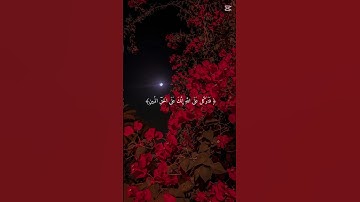 قران كريم ✨ #قرآن #اكسبلور #المصحف #راحة_نفسية #الرحمن #لايك