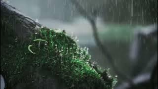 I'rifal Haq (Syekh Husin Doman)