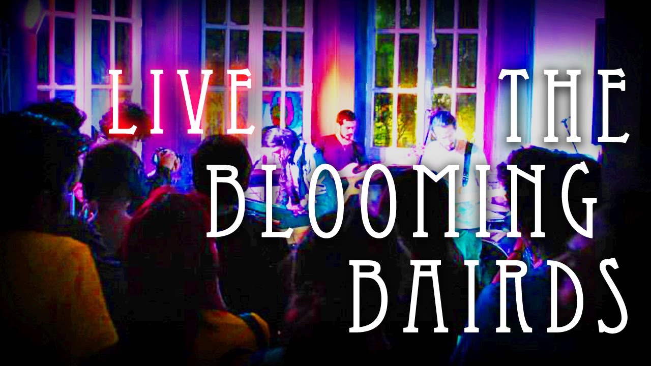 The Blooming Bairds LIVE YouTube
