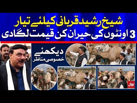 Sheikh Rasheed Buying Camels for Qurbani on Eid ul Azha
