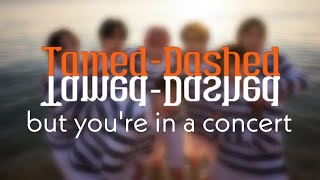 ENHYPEN - Tamed-Dashed, but you're in a concert | CONCERT EFFECT | USE HEADPHONES 🎧