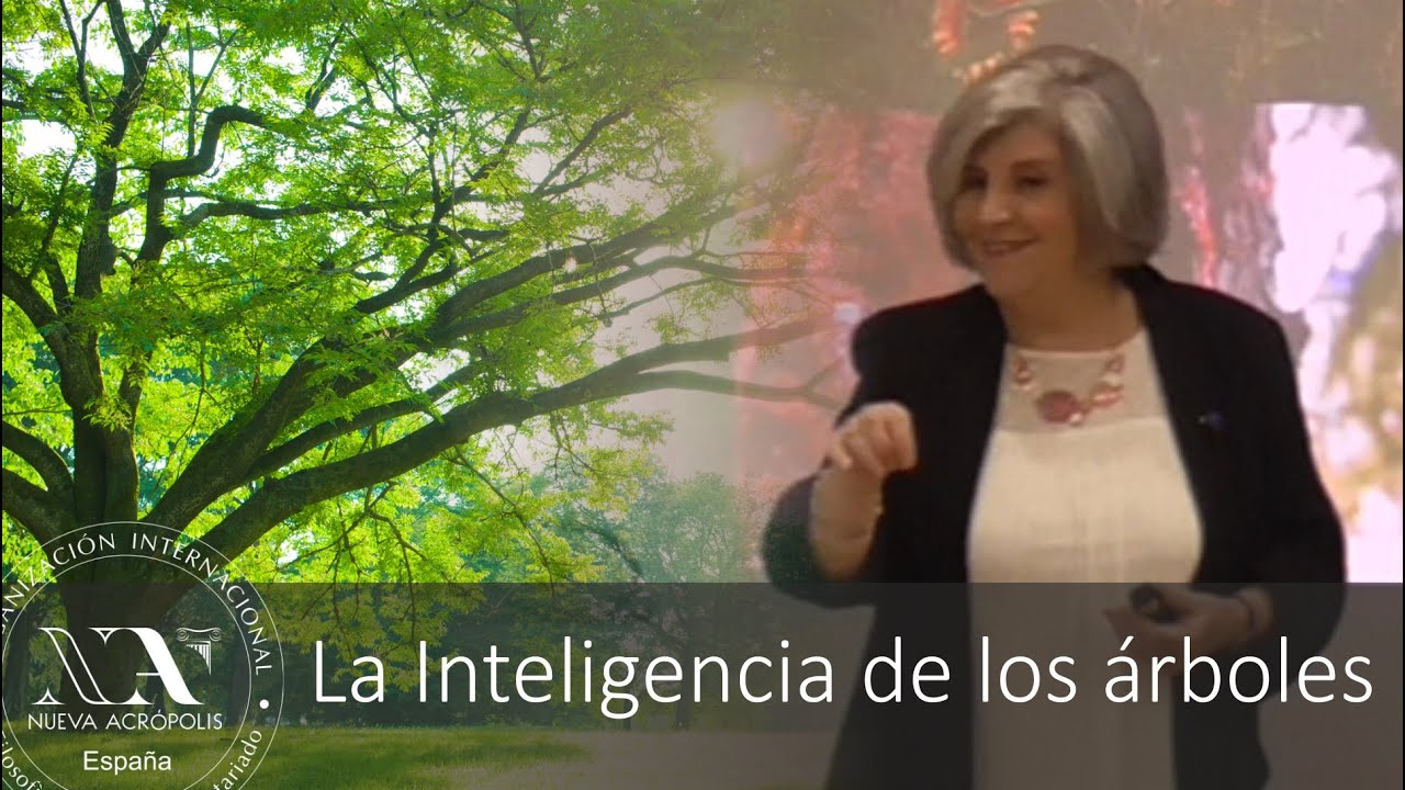 La Inteligencia de los Árboles. Escuela de Filosofia Nueva Acrópolis