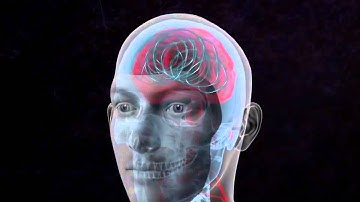 Biomedical Engineering Senior Capstone - DBS