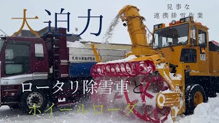 【札幌】大雪後の通学路の緊急除排雪、住宅街に大型重機が！【除排雪】