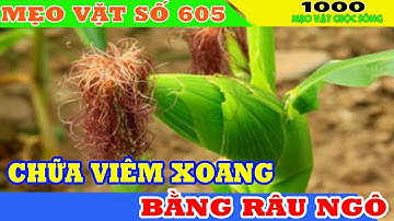 Chữa viêm xoang bằng râu ngô có hiệu quả không? cách chữa viêm xoang tại nhà đơn giản hiệu quả