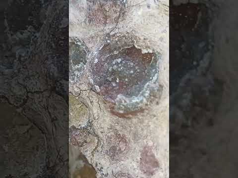 يااخواني انا ماافهم في الحجر كيف اخذه هاذه الحجر ولا ارجمبه