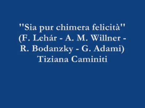 Sia pur chimera felicità - Tiziana Caminiti