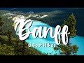 BEST Hiking In Banff National Park... 8 MIND-BLOWING hikes!
