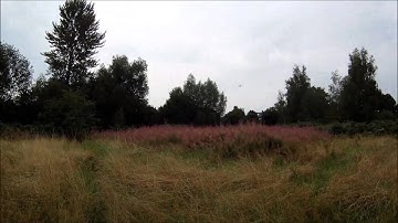 flyduino KISS30A 3D, cm2204 2300kv, hq5x45 3D, miniCP frame, 4S 1500 35C