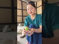 Green mango   chabagi khuhaosidi noisu amukta yengune
