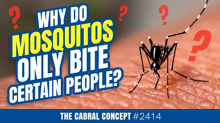 Why Mosquitoes Only Bite Certain People | Cabral Concept 2414