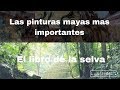 Yaxchilan y Bonampak, dos impresionantes ciudades mayas - Chiapas #8 luisitoviajero