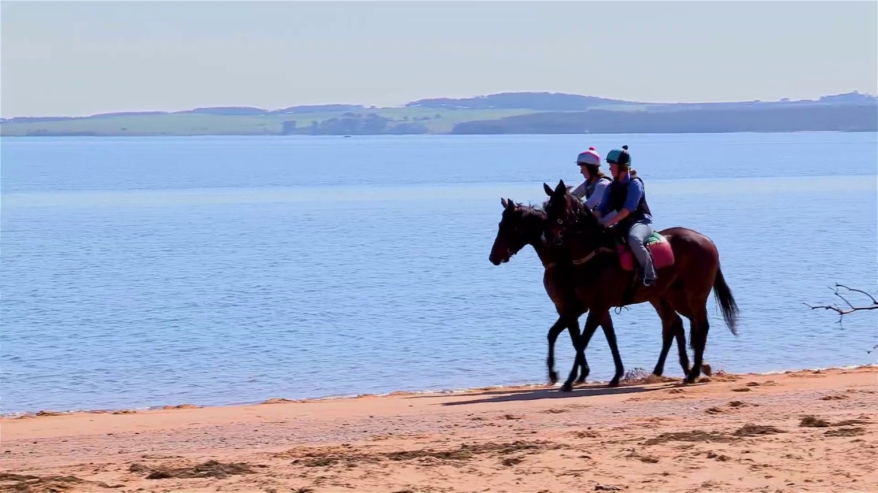 Bay Develpment YouTube