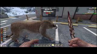 7 Days to Die Trainer Cheats + 20 Mods (Infinite Health, Infinite Stamina, &amp; More)