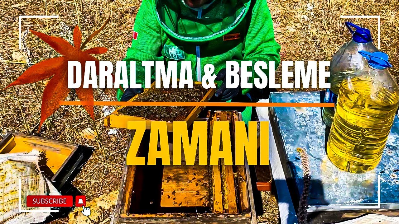 Kışlık Taşıma ve Sonbahar Bakımı 🐝 Arıcılıkta En Kritik Dönem!