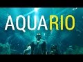 AquaRio - Aquario Marinho RJ