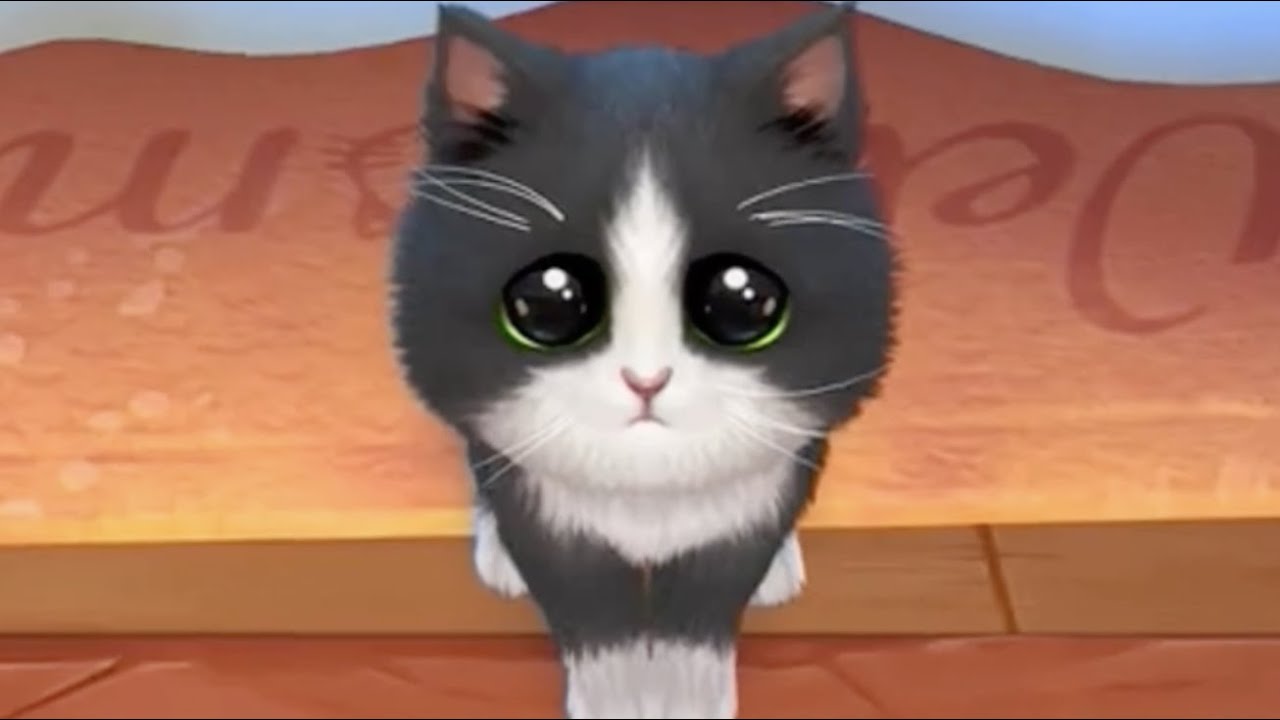 My Favorite Cat Little Kitten Match Play Fun Cute Play Fun Cute