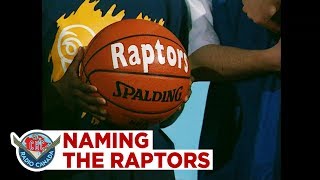 Raptors, Beavers or Hogs? What the Toronto Raptors could have been named screenshot 3
