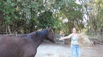 MEG - shaping behavior