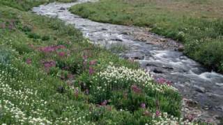 Dingetje - Sambal Bij.