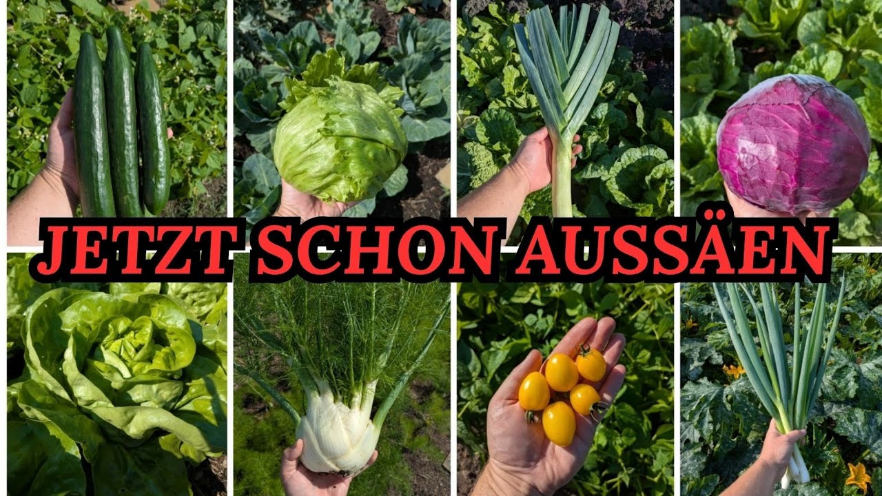 Jetzt schon aussäen 🌱 - 35 Gemüse für die Aussaat im März