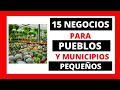 15 NEGOCIOS PARA COMENZAR EN  PUEBLOS O MUNICIPIOS PEQUEÑOS   PARTE 1