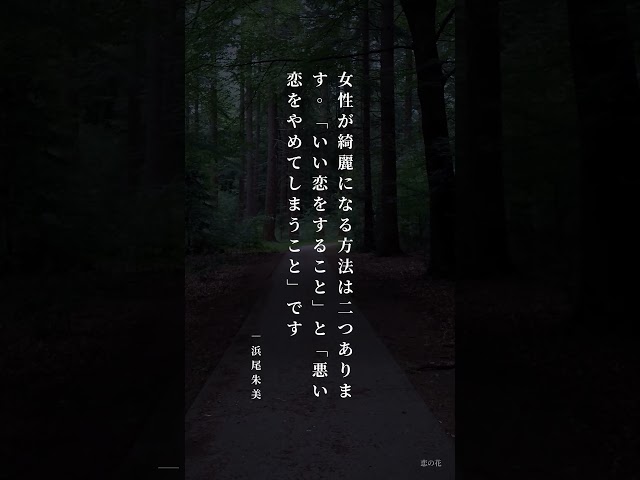 女性が綺麗になる方法は二つあります。「いい恋をすること」と「悪い恋をやめてしまうこと」です。浜尾朱美