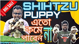 SHIHTZU PUPPY|DOG KENNEL IN KOLKATA|galiff street|dog breeding business