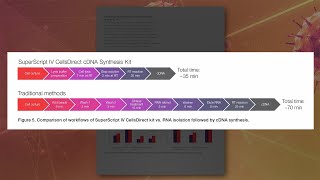 SuperScript IV CellsDirect cDNA Synthesis Kit thumbnail