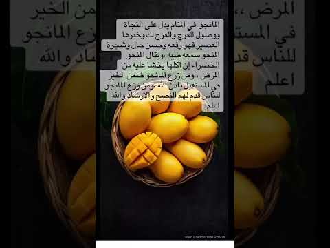 تفسير حلم المنجا في المنام