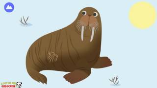 Baby Learn about Arctic Animals and Baby Explore the Arctic   Educational app by MarcoPolo screenshot 2