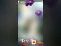 Banti 26 02 2019 L 37 