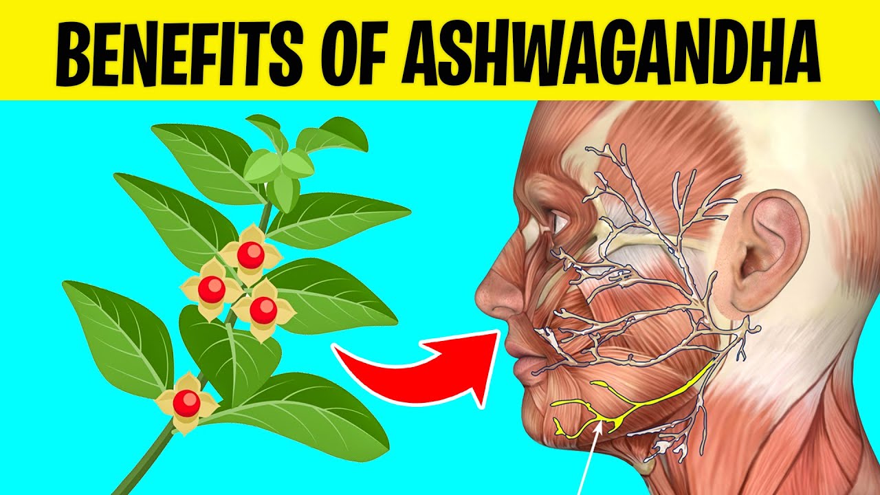 9 Amazing Benefits of Taking Ashwagandha Daily YouTube