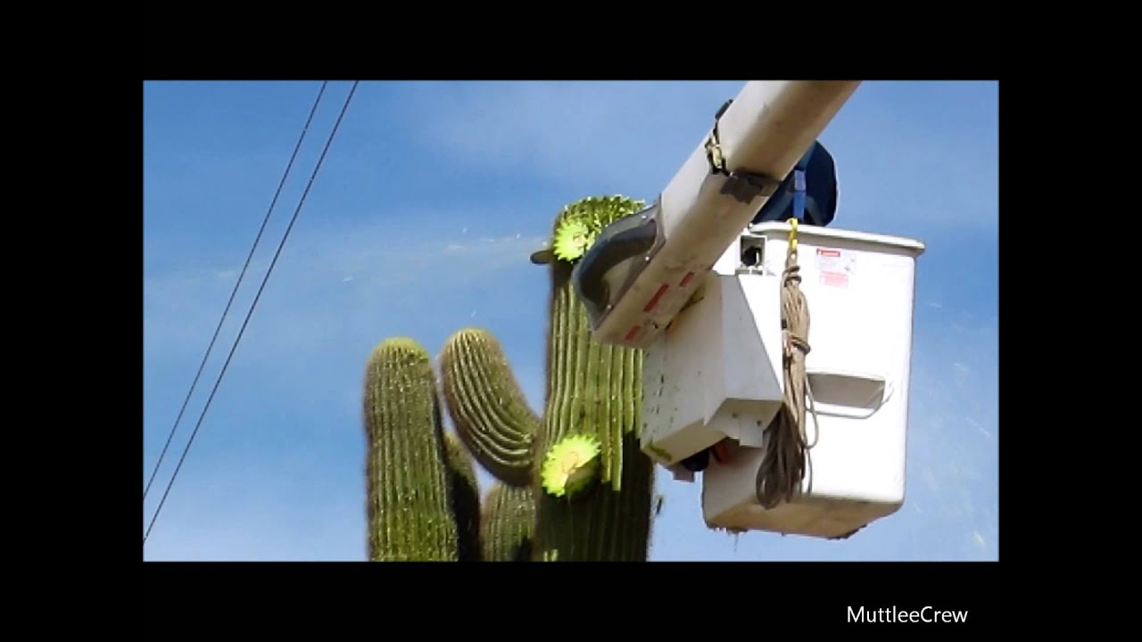 Chainsaw Massacre YouTube