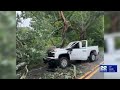 Tree falls on truck driving on College Hwy in Southwick