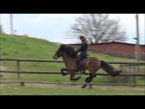 FIZO Kronshof -