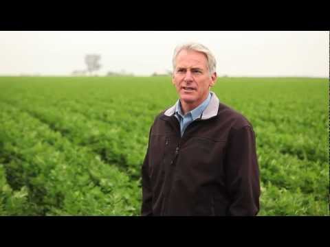 Video: Kodėl ūkininkai turi naudoti pesticidus?