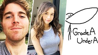 YouTuber Went Crazy... GradeAUnderA is Back, Shane Dawson, Pokimane, VitalyzdTV