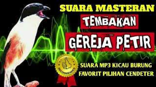 MASTERAN SUARA CENDET PETIR MAHADEWA JOSS