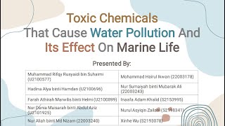 Toxic Chemicals That Cause Water Pollution And Its Effect On Marine Life