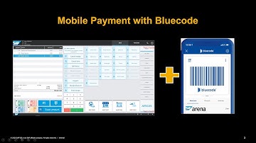 R20_FP09_01Mobile Payments with BlueCode