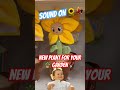 New Plant for Your Garden? This One Dances 😂🌻 #funny #nature #garden